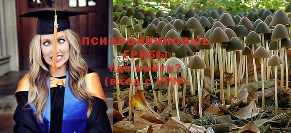 мескалин Россошь