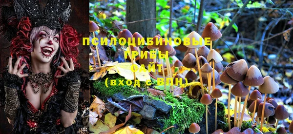 mix Рославль