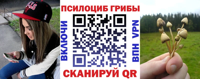 Псилоцибиновые грибы Magic Shrooms  купить наркотик  Судогда 